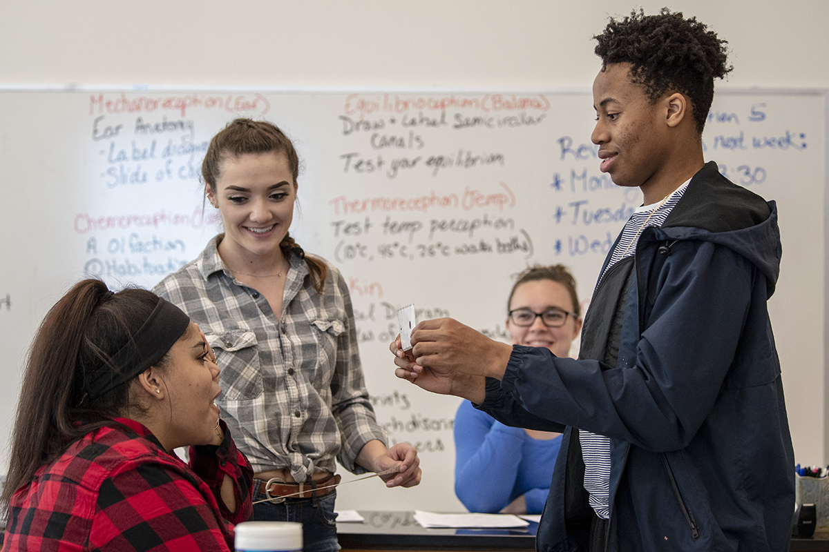 Four students conduct eye experiments in a group project for a biology class.