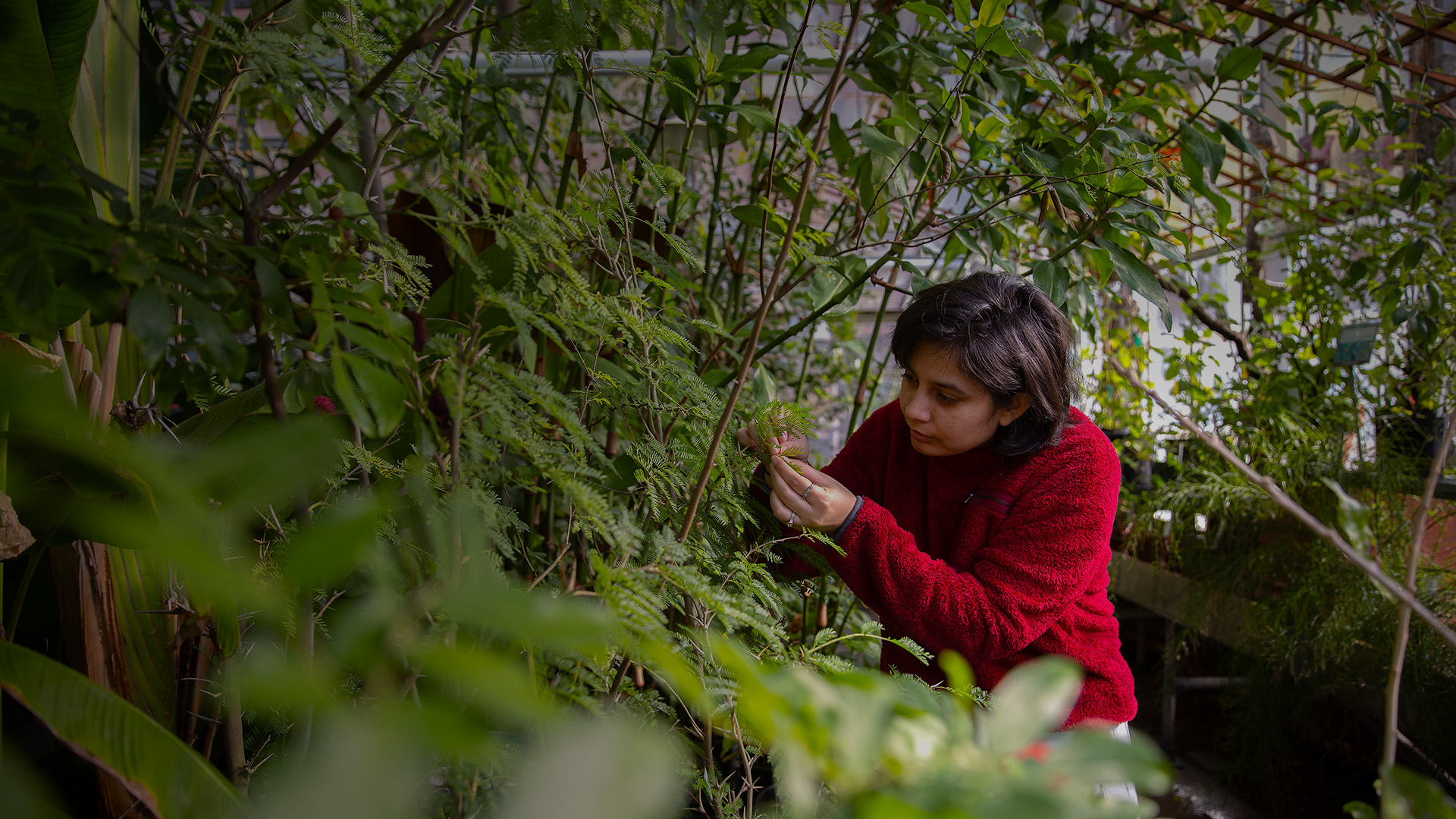 Environmental Degree Programs | College of Liberal Arts and Sciences